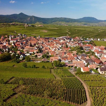 Gite Du Vignoble Бебленхайм Экстерьер фото