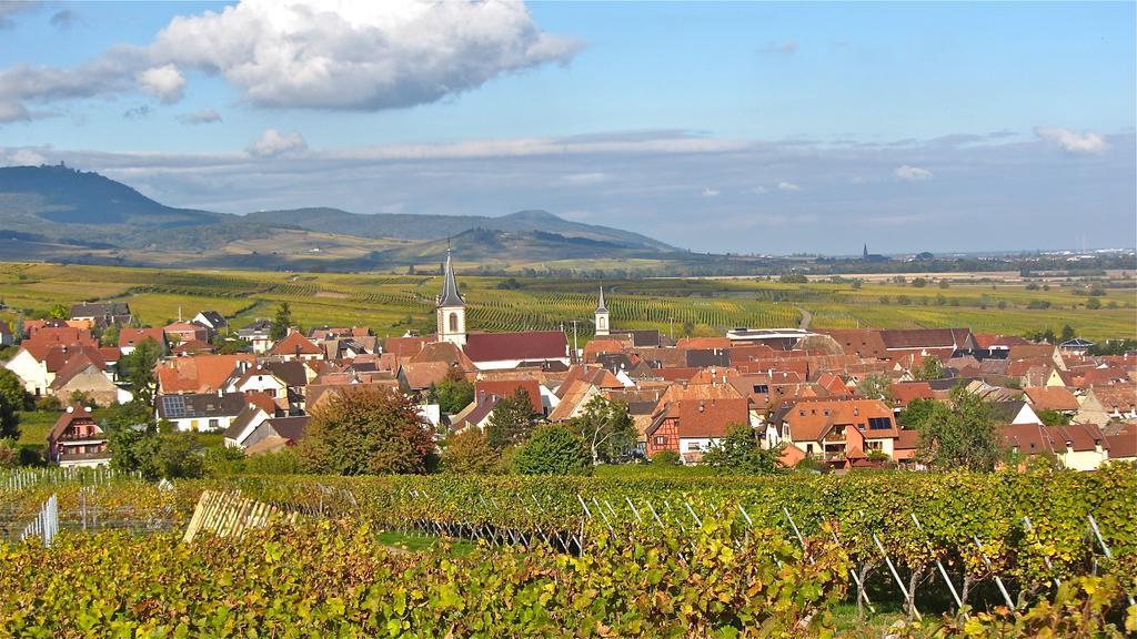 Gite Du Vignoble Бебленхайм Номер фото