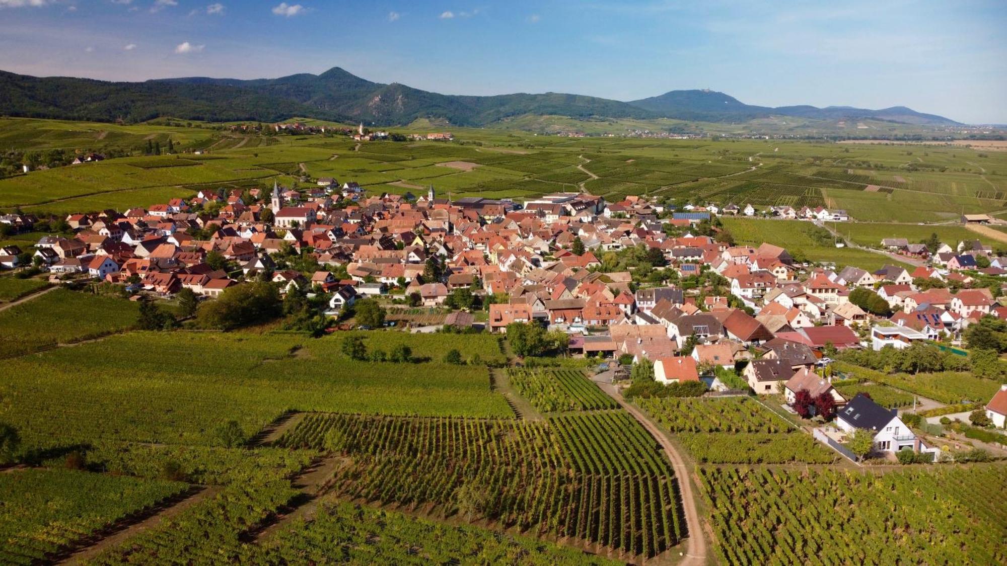 Gite Du Vignoble Бебленхайм Экстерьер фото